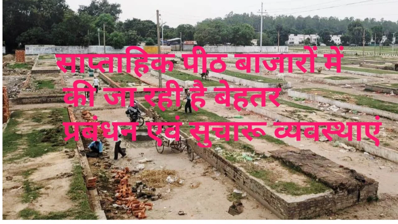 सेक्टर-1 व सेक्टर 4 पीठ बाजारों का आदर्श बाजार के रूप में विकसित कर रहा है बीएचईएल